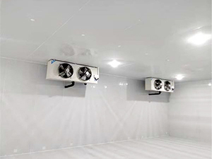 速凍冷庫(kù)內(nèi)景圖片