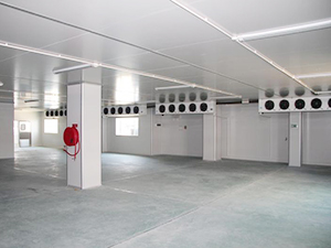 速凍冷庫(kù)完工內(nèi)景圖片