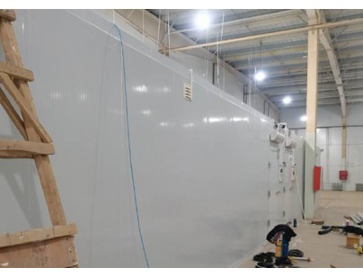 上海優(yōu)寧維集團生物醫(yī)藥冷藏、冷凍庫工程案例