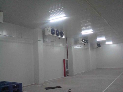 地下冷庫建設多少錢一平方