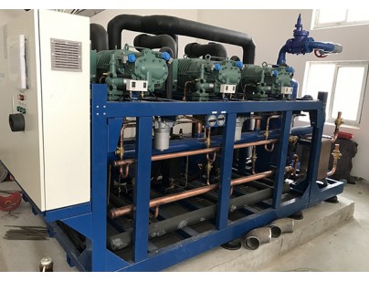 河北周黑鴨食品工業(yè)園物流電商食品加工冷庫(kù)工程建造方案