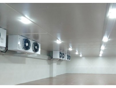 河北尚品（澳門）15000m3倉儲物流低溫冷藏冷凍庫建造方案