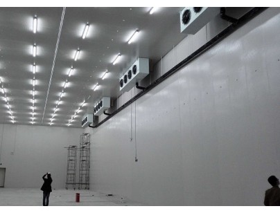 成都鐵路口岸中國海關檢驗檢疫30000立方大型肉類物流冷庫工程案例