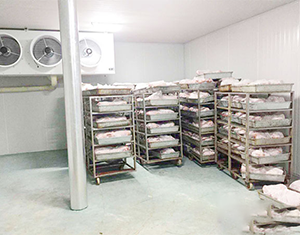 屠宰凍庫(kù)造價(jià)標(biāo)準(zhǔn)是多少錢一平方？