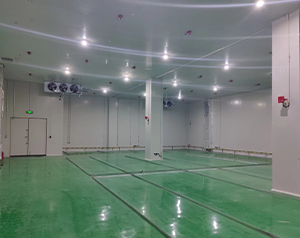 溫州防爆冷庫(kù)建造費(fèi)用多少錢(qián)？