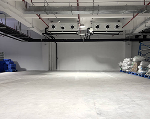 大型冷凍庫造價預算多少錢一方？