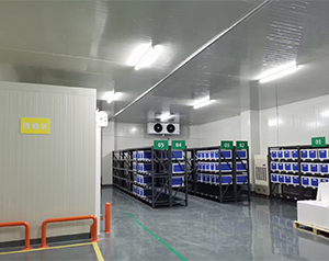 gsp體外診斷試劑批發(fā)企業(yè)設(shè)置的冷庫(kù)容積不少于多少立方米？