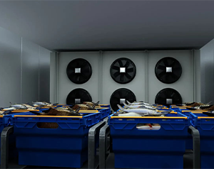 安裝10000平生鮮電商冷庫有哪些因素會影響投資預(yù)算？