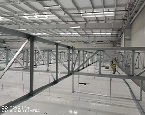 上海建造10000平大型綜合冷庫設(shè)計方案以及投資預(yù)算？