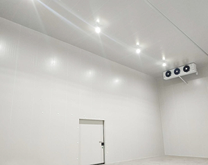 2000噸冷庫應(yīng)該建多大？造價成本投資多少錢？