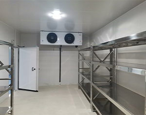 超低溫冷庫(kù)安裝報(bào)價(jià)的基本要素及費(fèi)用分項(xiàng)解析