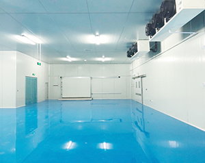 智能自動化冷庫設(shè)計(jì)規(guī)范：提升冷鏈物流效率與品質(zhì)保障