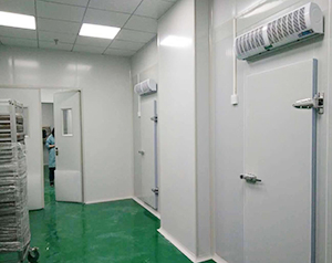 凈化冷庫工程造價標準規(guī)范，凈化車間冷庫溫度要求
