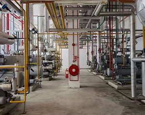 冷庫車間自動(dòng)化管理規(guī)范