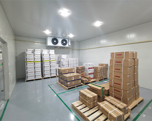 50㎡gsp醫(yī)藥冷庫(kù)（gmp恒溫冷藏室）冷庫(kù)造價(jià)表