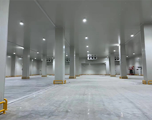 你知道未來哪種冷庫更有市場(chǎng)潛力，有&ldquo;錢&rdquo;景？