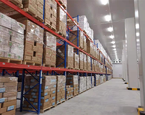 大型海鮮物流冷庫(kù)（冷凍庫(kù)）安裝成本預(yù)算是多少？