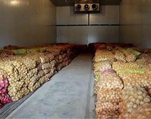 進(jìn)口外貿(mào)食品冷庫(kù)（低溫倉(cāng)儲(chǔ)）定制價(jià)格每平米多少錢(qián)？