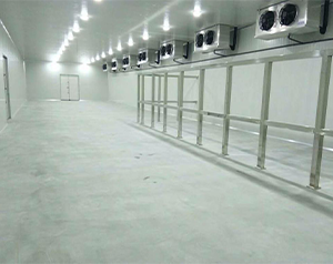 1000平米雪糕冷庫(kù)（冰淇淋冷凍庫(kù)）建造多少錢一平米