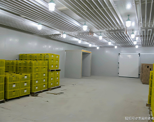 蔬菜恒溫庫利潤空間大概有多大？