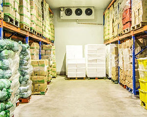 檳榔冷庫延長(zhǎng)檳榔的保鮮時(shí)間