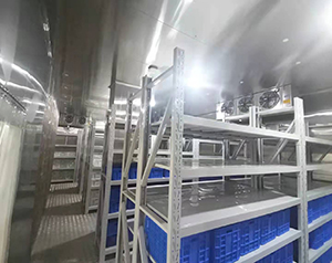 超低溫冷庫(kù)制作廠家_提供可靠、高效的冷藏解決方案