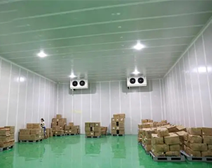 蔬菜物流冷庫(kù)造價(jià)成本與哪些因素有關(guān)？