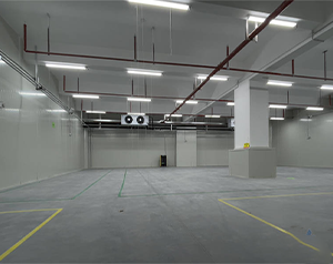 氣調(diào)冷庫建成后如何正確儲存果蔬？