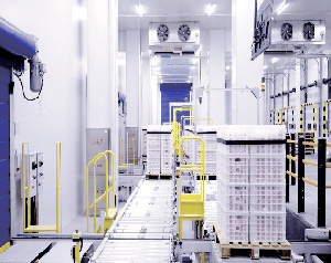 5000噸智能庫架一體冷庫建造價(jià)格多少錢