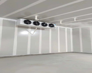 甘肅2500立方葡萄氣調(diào)冷庫造價(jià)多少錢？