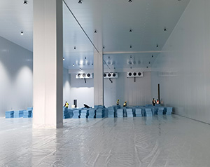 正常情況下國標(biāo)冷庫建設(shè)每平方多少錢？