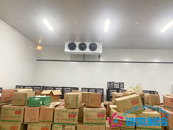 建一個(gè)水果冷庫(kù)需要多少錢？