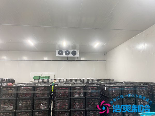 100立方冷凍庫(kù)造價(jià)預(yù)算需要多少錢(qián)？