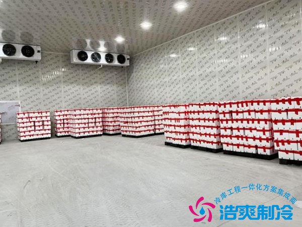 凍庫設(shè)計方案