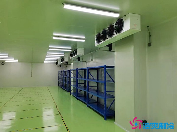 儲存疫苗的企業(yè)獨立冷庫有幾個？生物疫苗冷庫造價