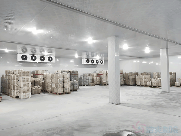 高標(biāo)準(zhǔn)冷庫(kù)建設(shè)多少錢一平方？