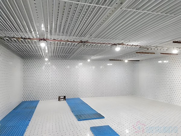 箭齒鰈魚片冷藏庫儲(chǔ)藏條件，箭齒鰈魚冷庫溫度要求