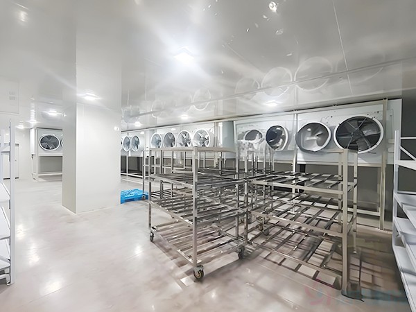 速凍冷庫造價(jià)