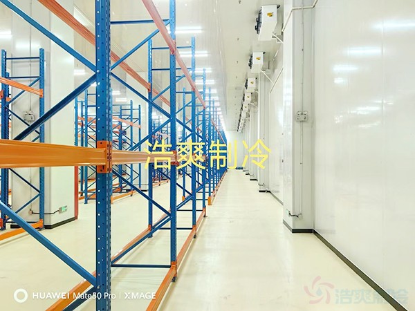 三類醫(yī)療要求冷凍室和冷藏室多大？造價(jià)預(yù)算多少錢？