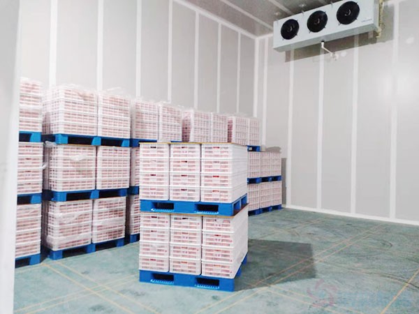 生果保鮮冷庫建造價(jià)格多少錢？生果保鮮冷庫造價(jià)表