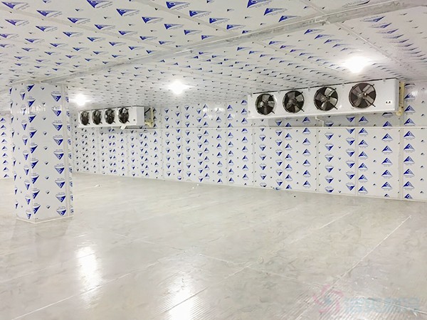 建一個(gè)冷凍庫造價(jià)需要多少錢一平方？