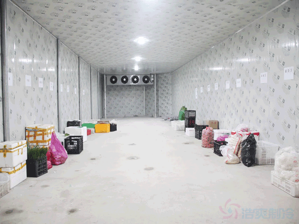 在冷庫使用中，如何根據食品分類確定貯藏溫度值？