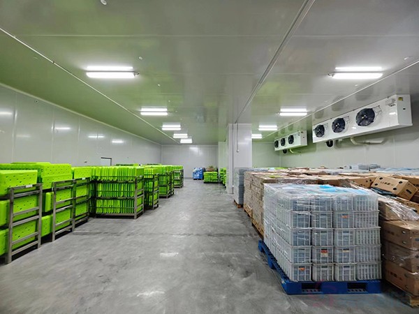 大型工業(yè)藥品冷庫(kù)建設(shè)安裝價(jià)格大概多少錢？