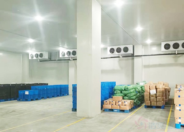 8000立方大型食品冷庫造價