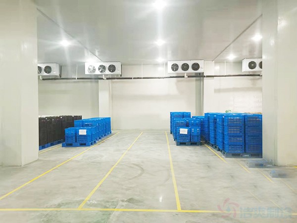 湖南保鮮食品冷庫建造