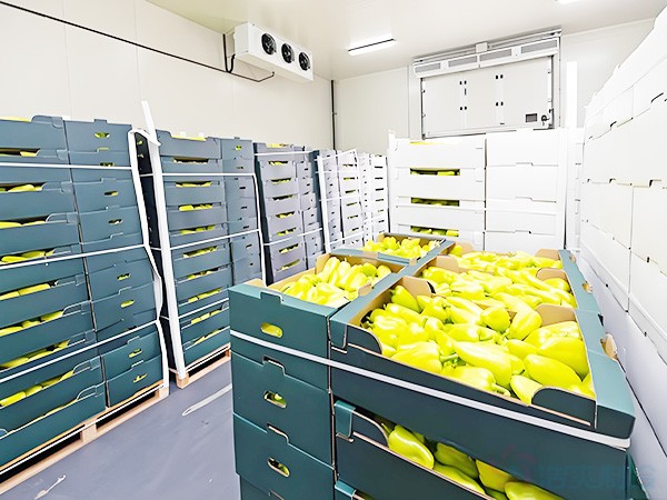 內(nèi)蒙古葡萄氣調(diào)保鮮冷庫(kù)