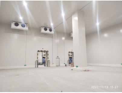 江蘇灌南京東35000m3電商物流園冷庫建造工程案例
