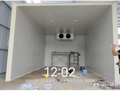 四川桑枝食用菌現(xiàn)代農(nóng)業(yè)園區(qū)氣調(diào)保鮮冷庫工程建造案例