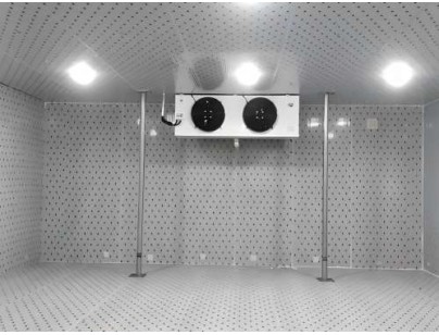 浙江仙居股份經(jīng)濟合作社羊肚菌氣調保鮮冷庫建造工程案