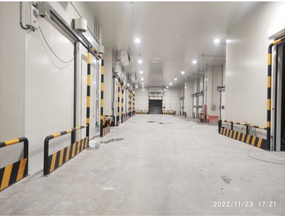 江蘇太倉(cāng)遠(yuǎn)洋物流二氧化碳復(fù)疊系統(tǒng)冷庫(kù)建造工程案例